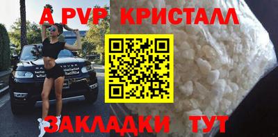 ешки Славгород