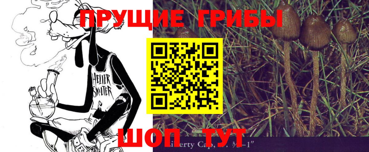 купить   Вход с VPN  Рыбинск  Псилоцибиновые грибы Magic Shrooms 